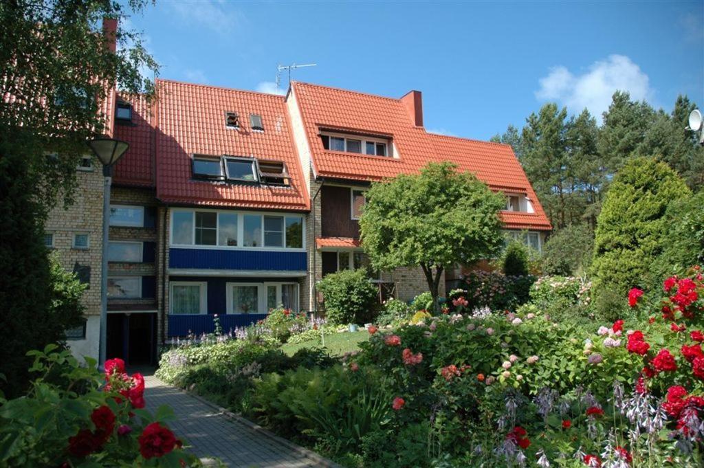 Apartment Pusynas Nida Dış mekan fotoğraf